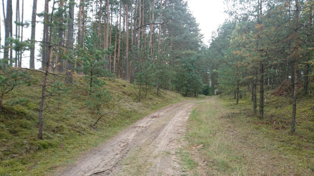 Krzyż Fitnessfun Bed & Breakfast エクステリア 写真